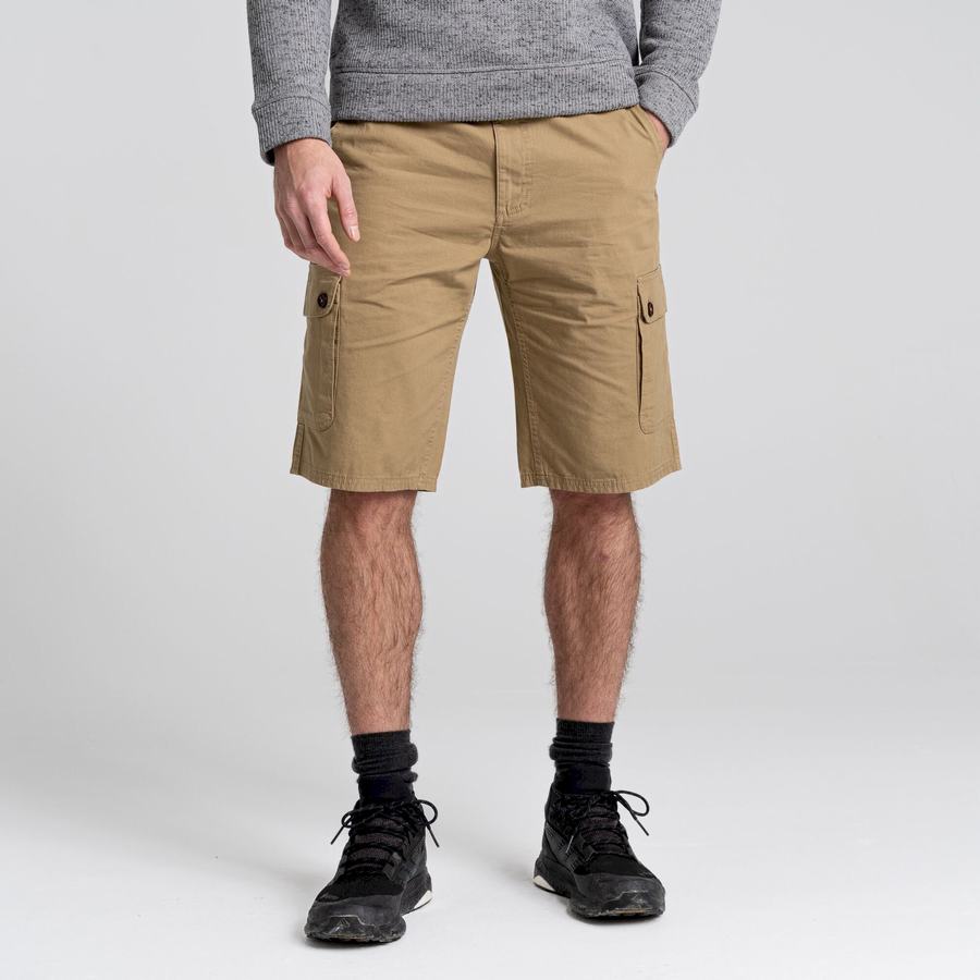 Craghoppers Thallon Shorts Herre Grøn | ORX4757ZD