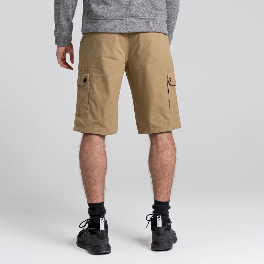 Craghoppers Thallon Shorts Herre Grøn | ORX4757ZD