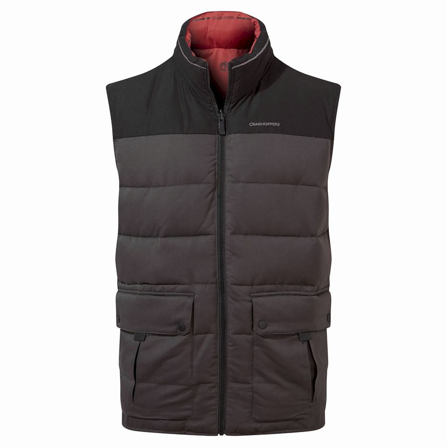 Craghoppers Trillick Downlike Veste Herre Sort | FTS3843XL