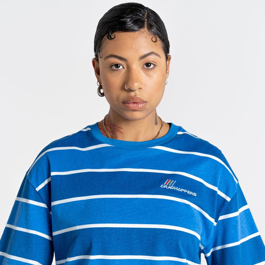 Craghoppers Ventura Kort Sleeved T-shirts Herre Blå Striber | WDM1698OJ